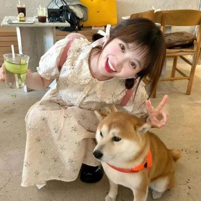 老虎连